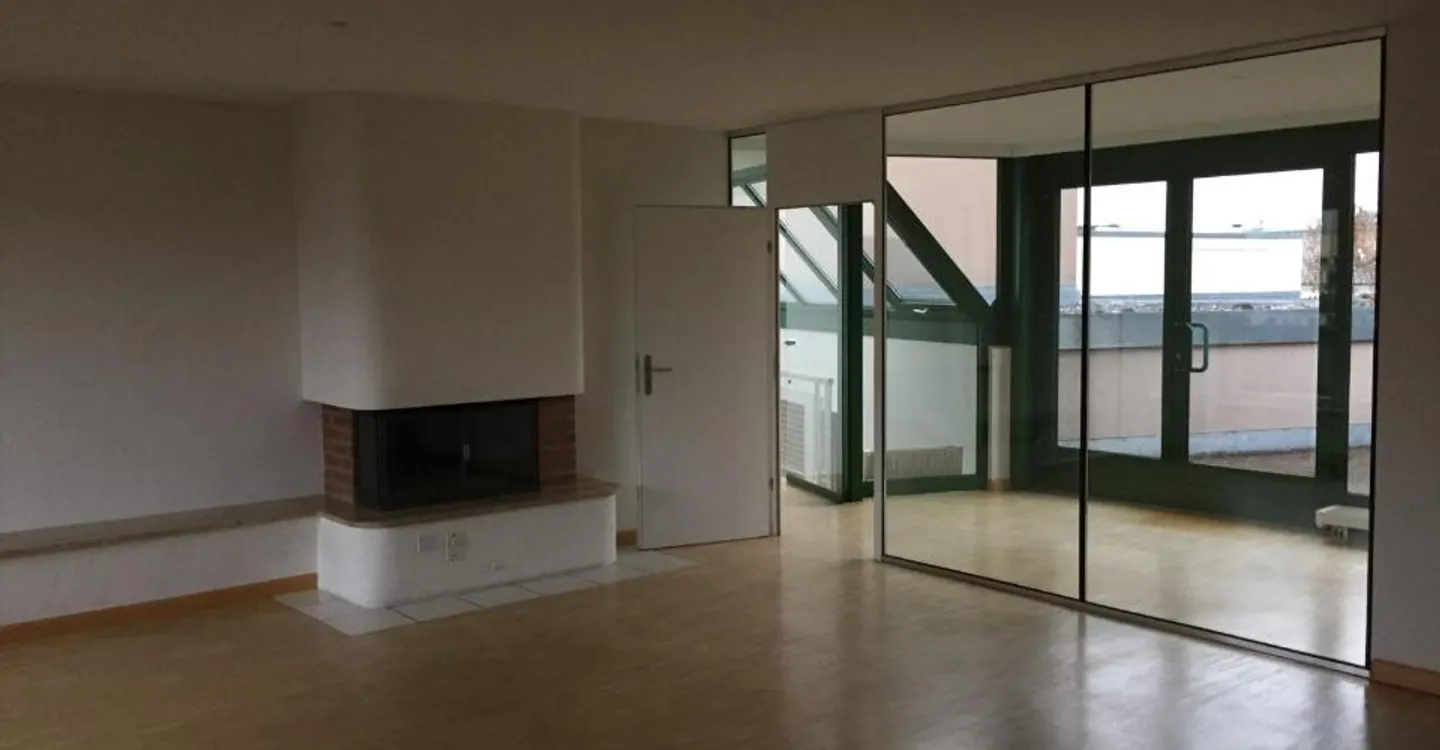 4.5 Room Penthouse Apartment in the Center of Basel - Photo 3 of 11