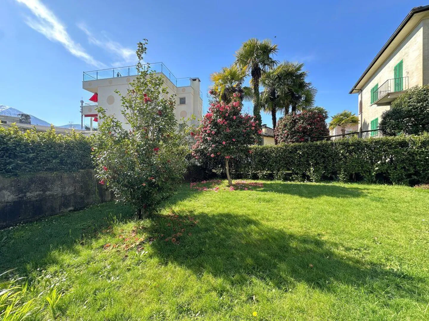 Un pezzo di paradiso nel cuore di Muralto – Appartamento 3.5 locali con giardino - Foto 2 di 11
