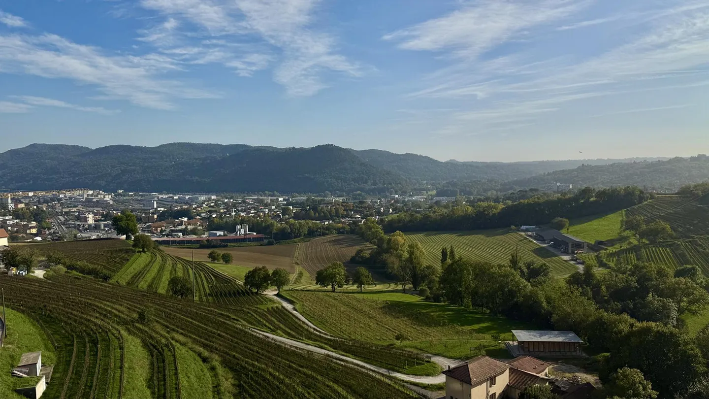 Jusqu'à 3 mois gratuits - Appartement de 3,5 pièces à Coldrerio rénové - Photo 11 sur 12