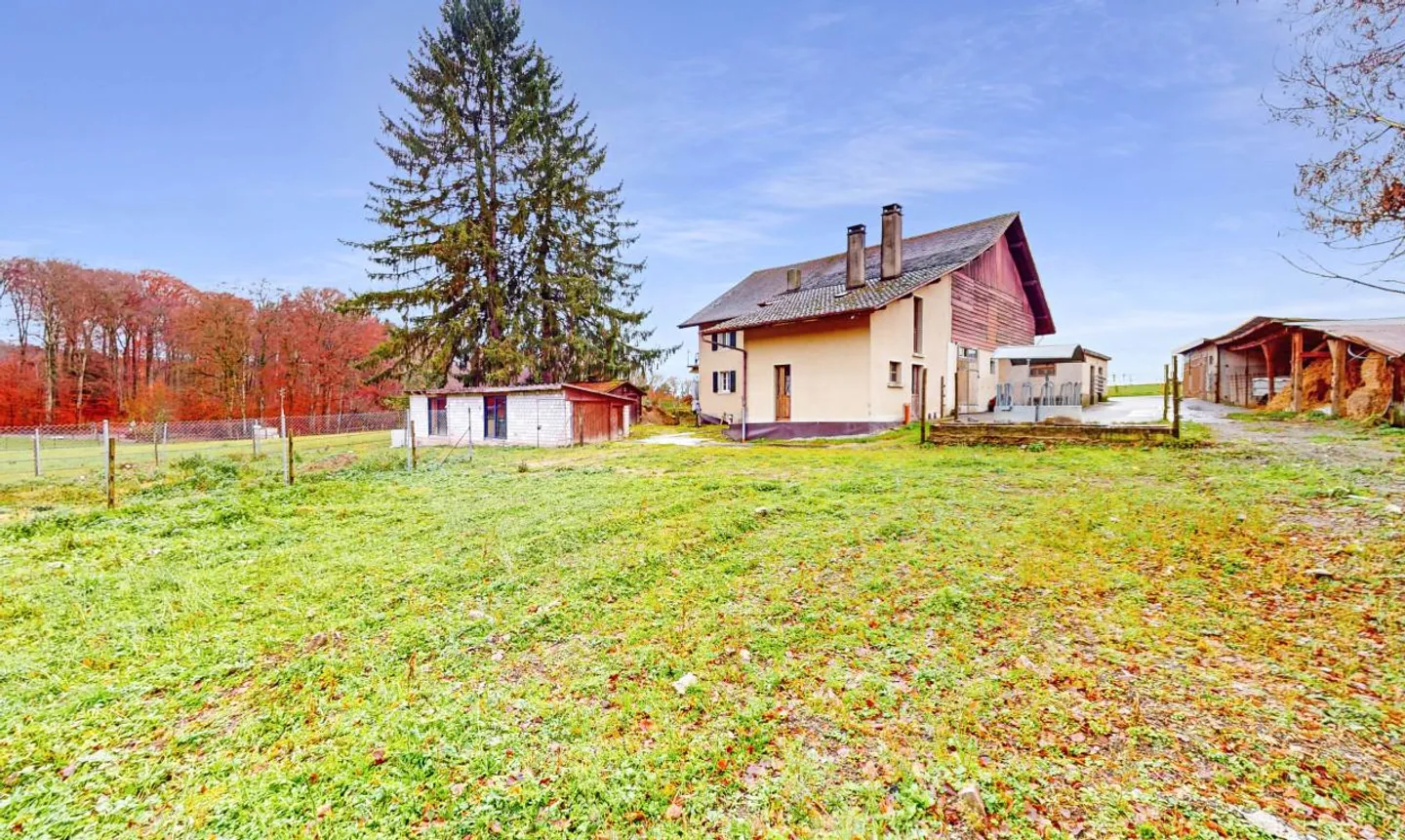 Ideal für eine Familie oder einen Investor! - Foto 11 von 13