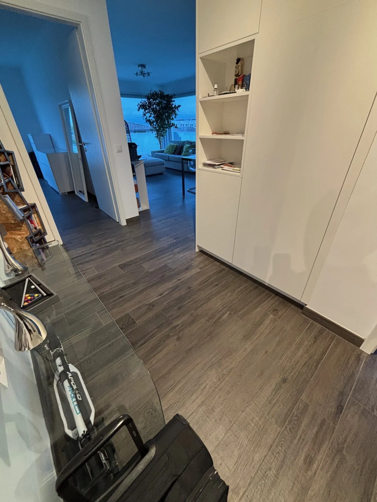 Magnifico appartamento con vista di 3,5 stanze - Foto 3 di 11