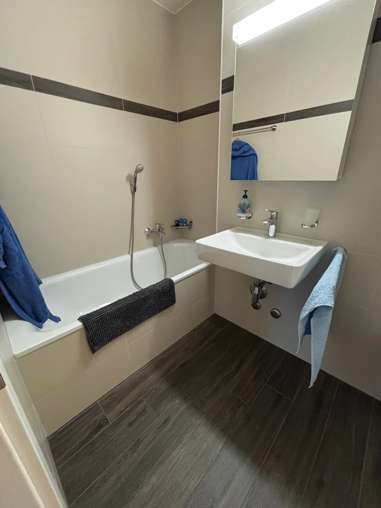 Magnifico appartamento con vista di 3,5 stanze - Foto 8 di 11