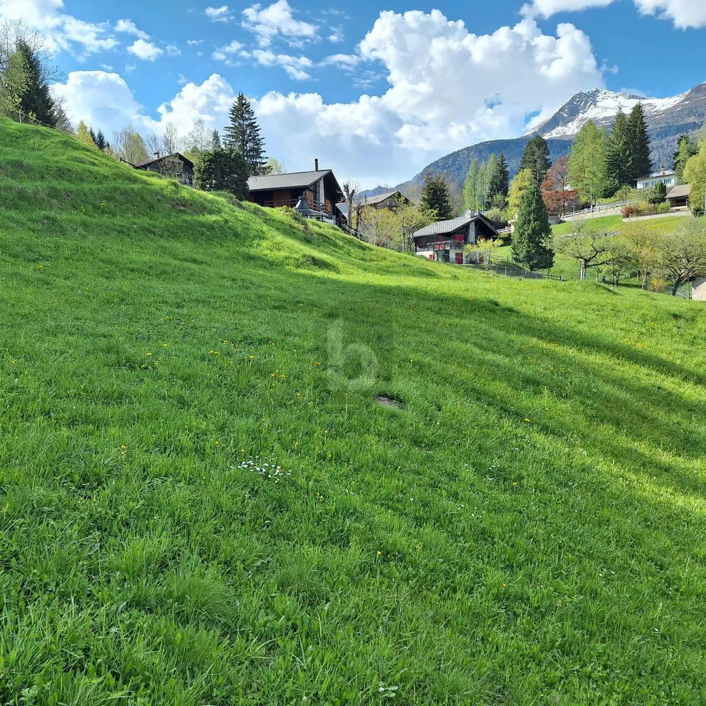 Terreno da sogno con vista mozzafiato - Foto 1 di 6