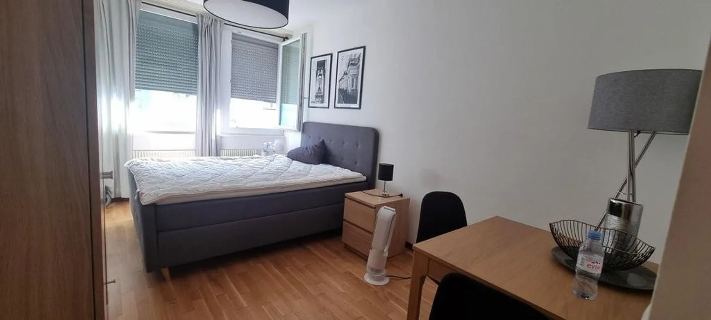 Beautiful furnished studio in the heart of Geneva! - Photo 2 of 4
