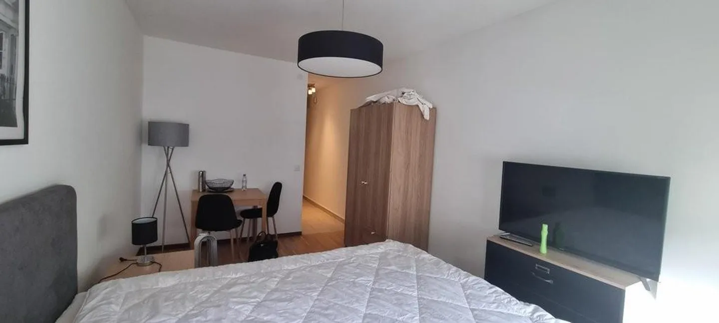 Beautiful furnished studio in the heart of Geneva! - Photo 3 of 4