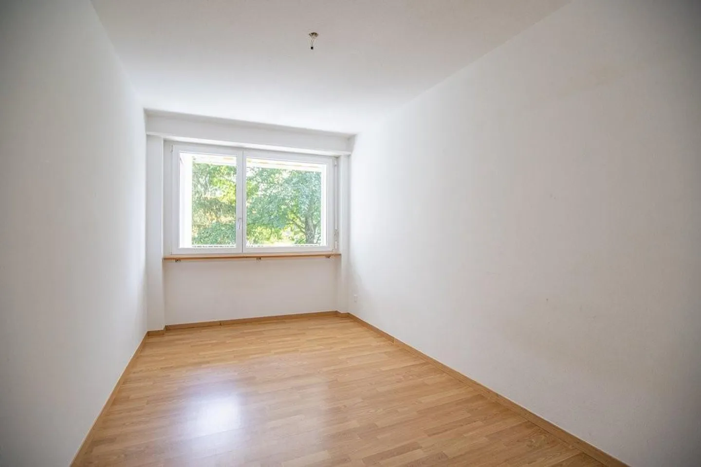 Profitez d'une vue détendue ! - Photo 6 sur 7