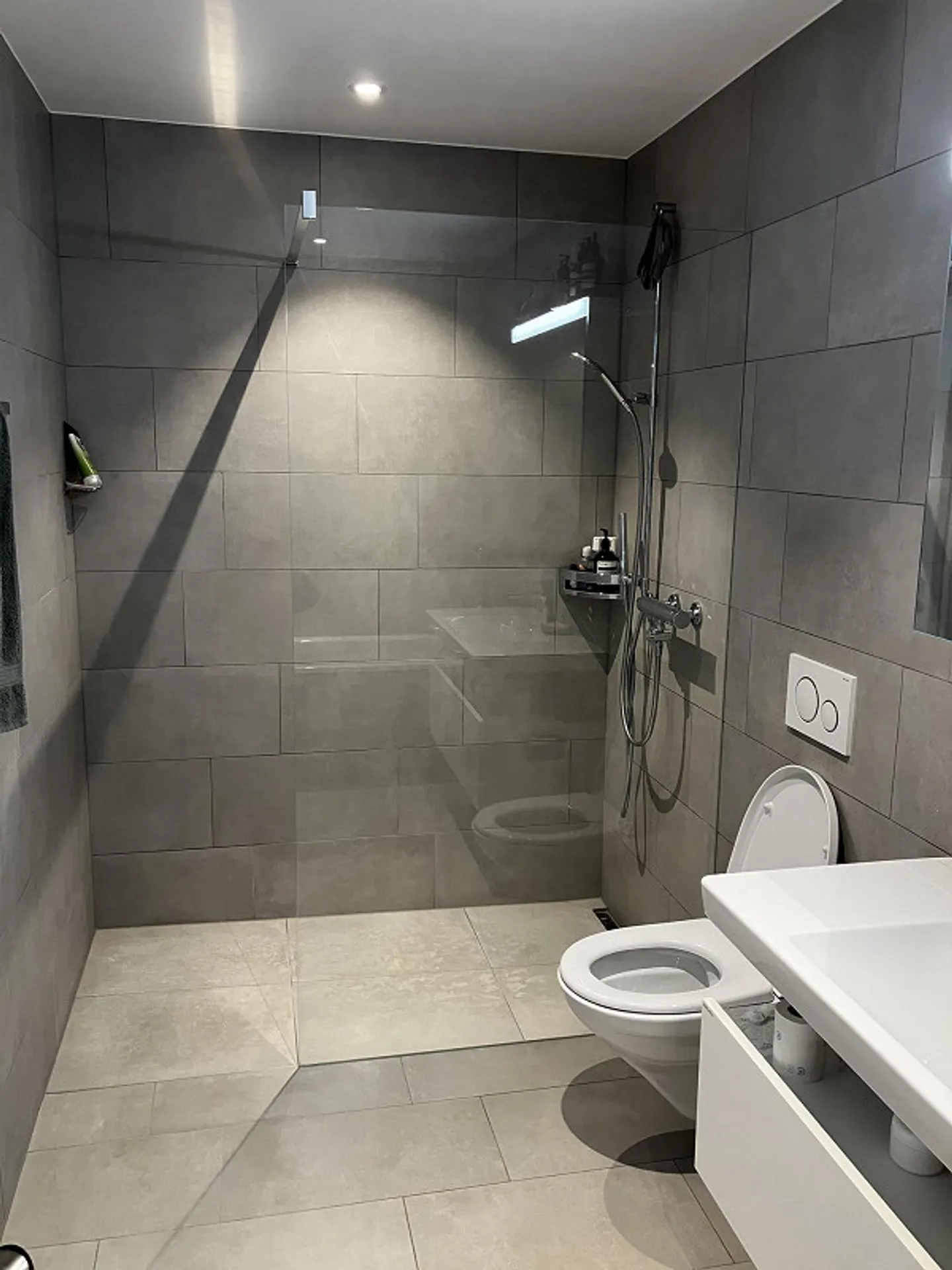 4.5-Zimmer-Gartenwohnung mit Seesicht - Photo 4 of 11