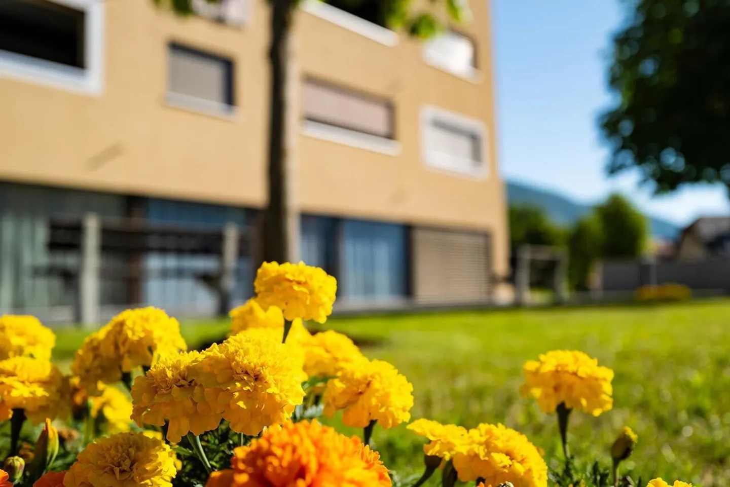 Appartement protégé à louer - Foto 1 von 24