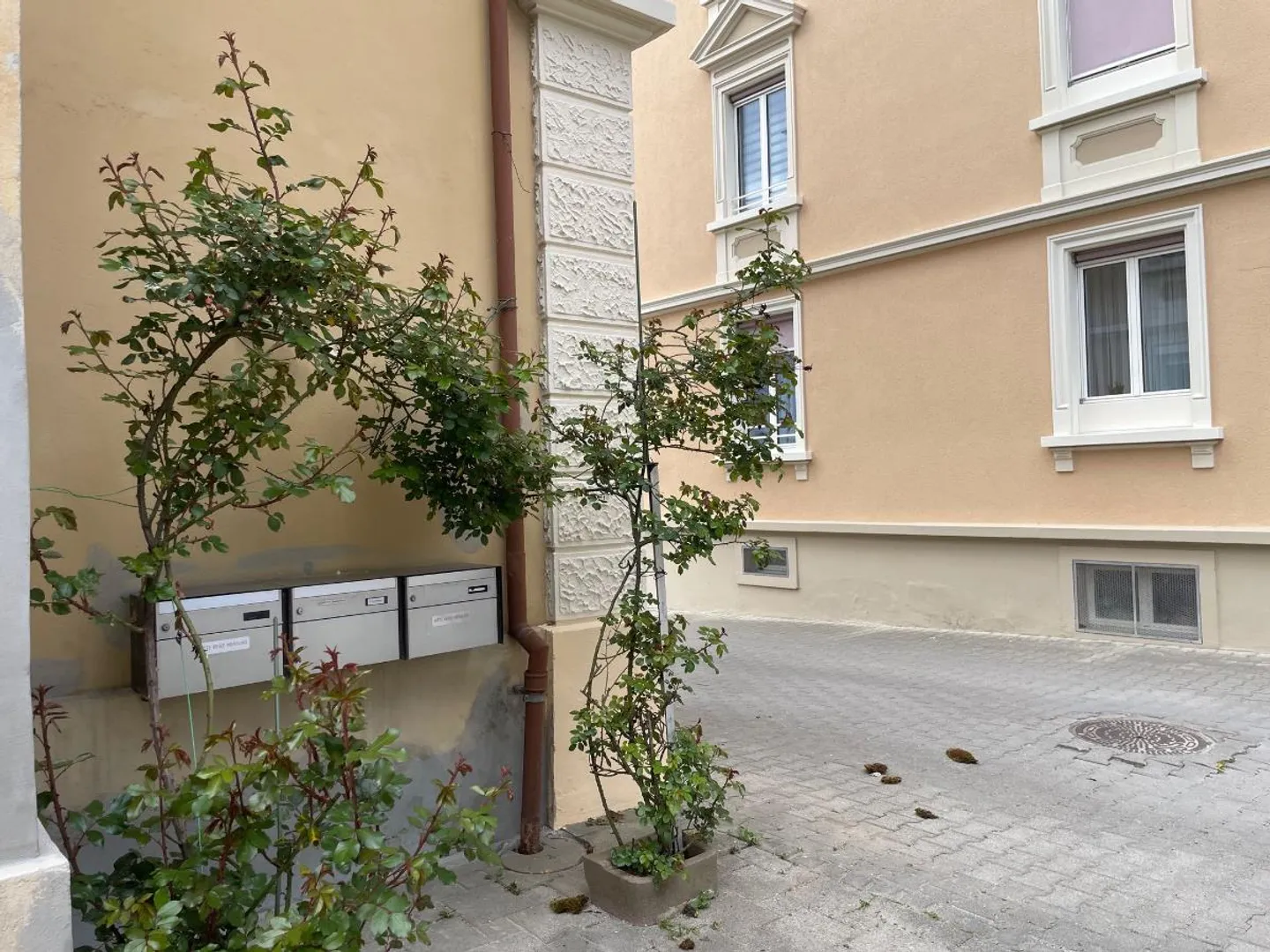 3.5 Room Apartment - Photo 1 of 5