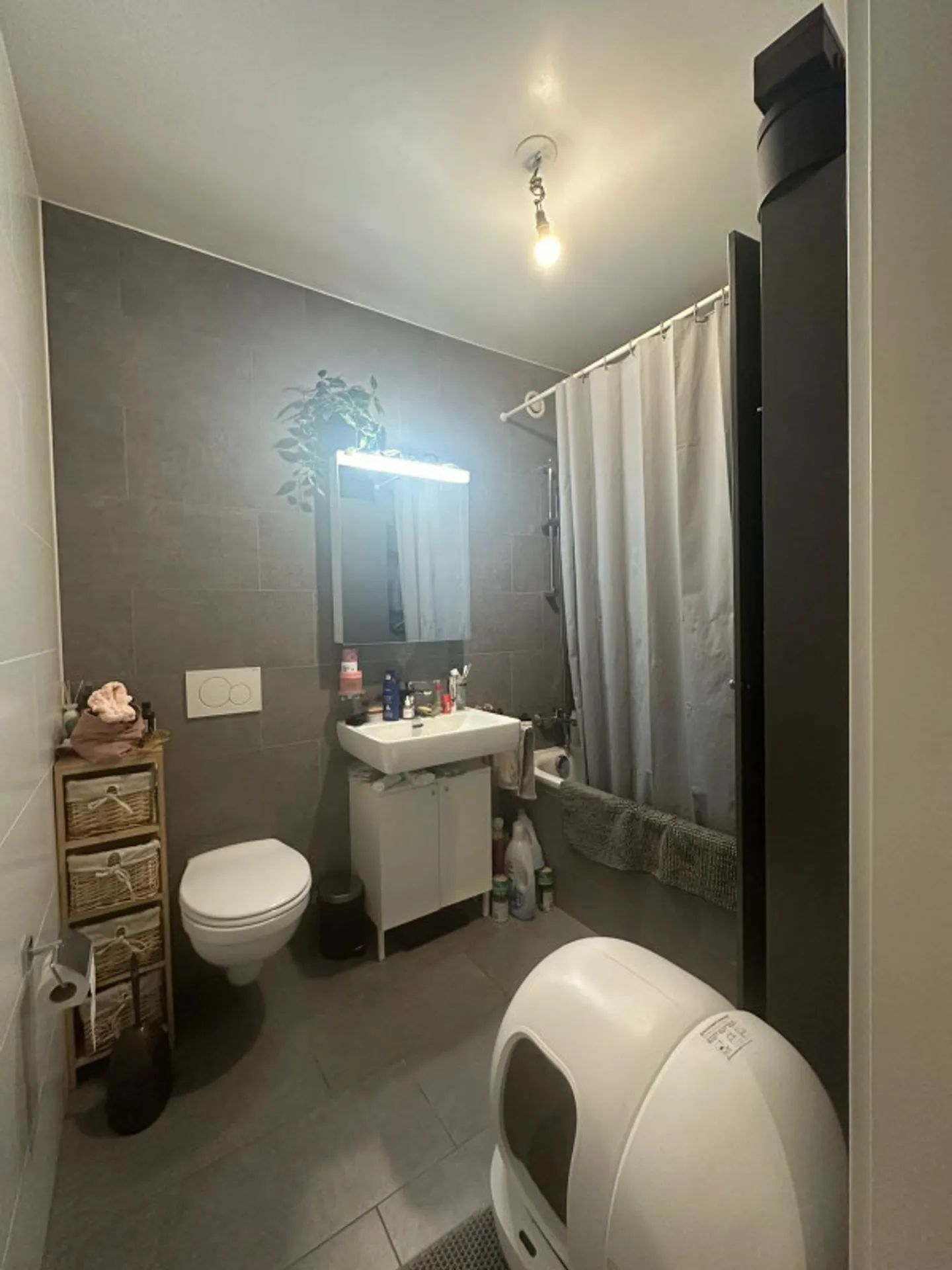 Charming 3-Room Apartment - Photo 3 of 4