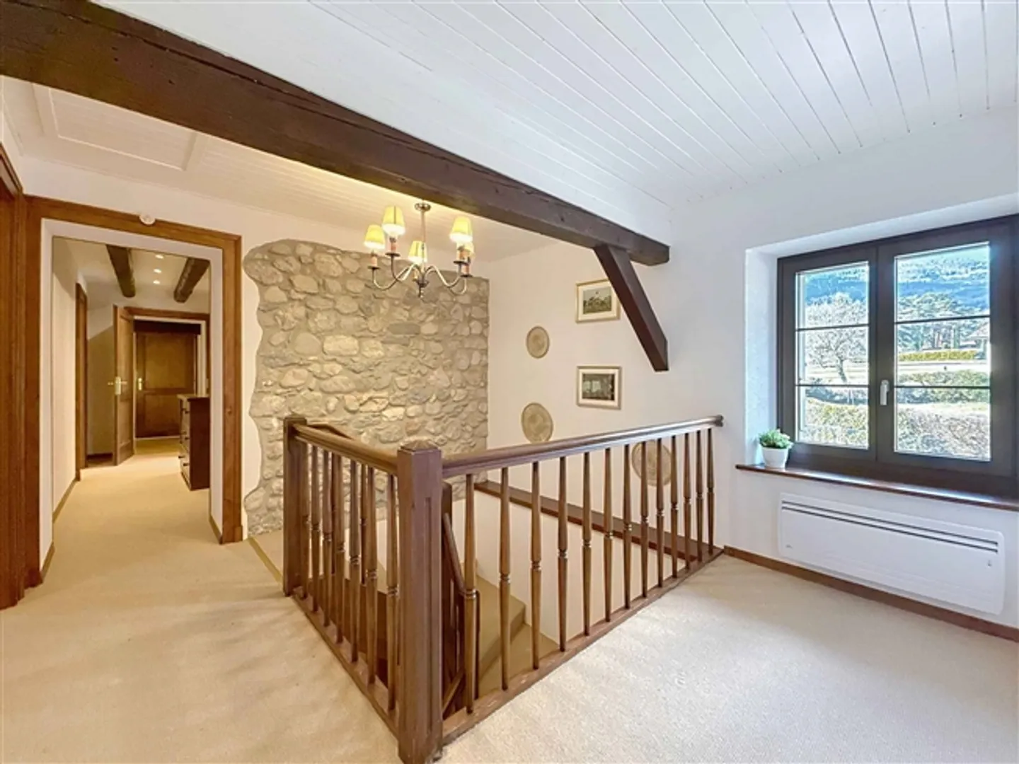 Magnificent Character Property Near Nyon - Photo 7 of 13