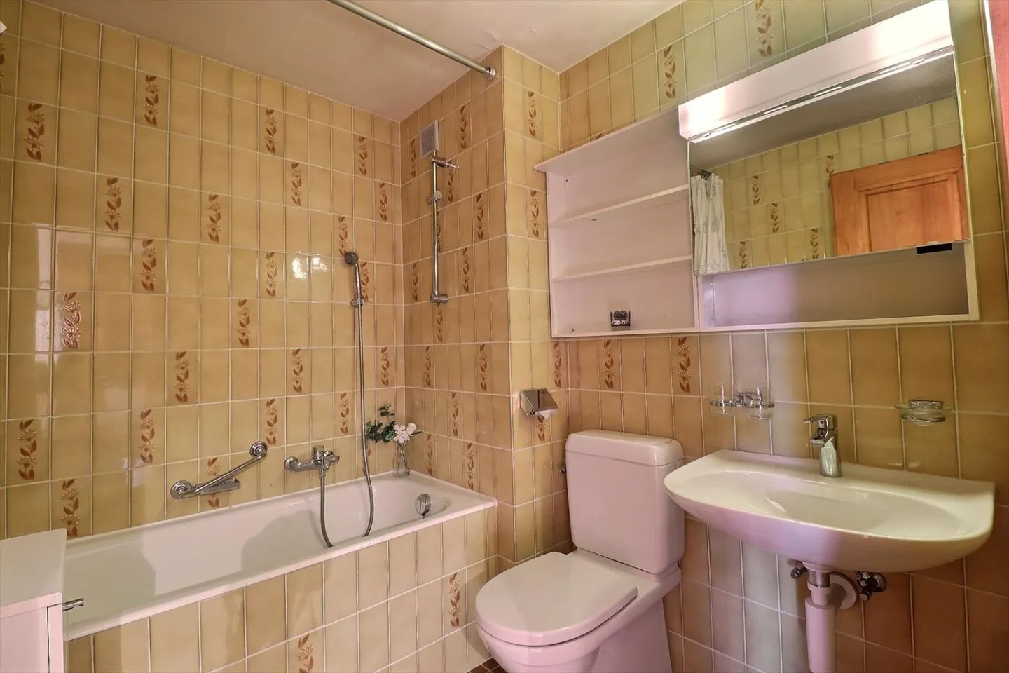 Chamois 12 - Photo 8 sur 9