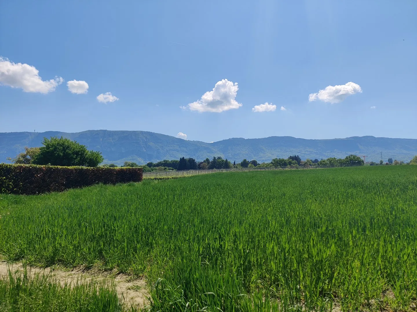 RARE: Rifugio di pace all'interno di una residenza di alto livello / Unità spaziosa e luminosa - Foto 1 di 1