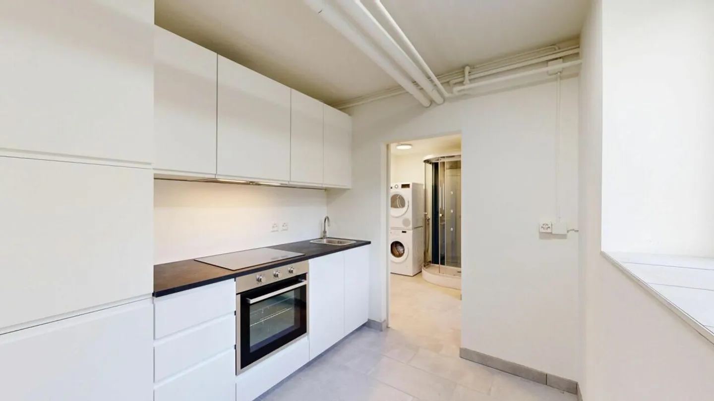 Grosszügige 1.5-Zimmer Loftwohnung mit Sitzplatz - frisch saniert auf 75 m² Wohnfläche - Foto 2 von 6