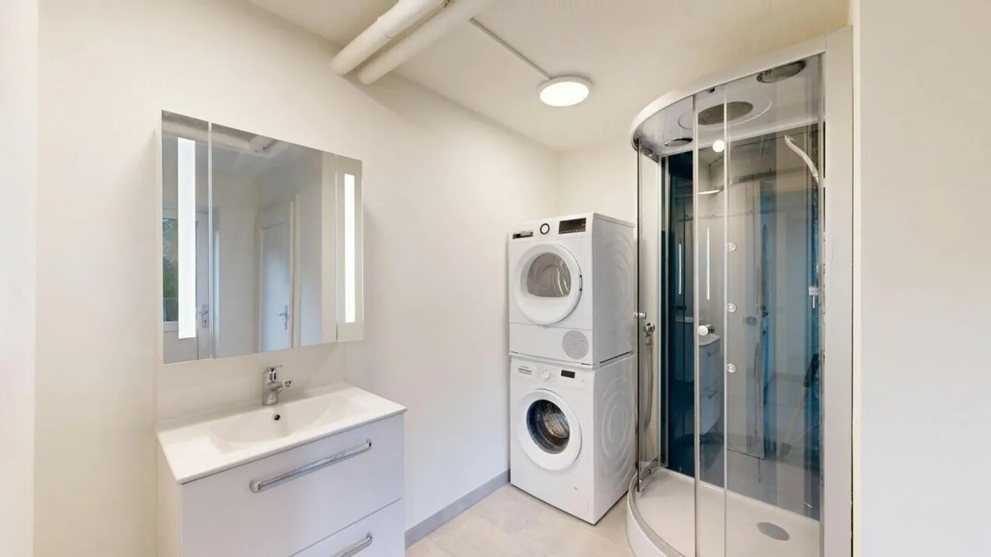 Grosszügige 1.5-Zimmer Loftwohnung mit Sitzplatz - frisch saniert auf 75 m² Wohnfläche - Foto 3 von 6