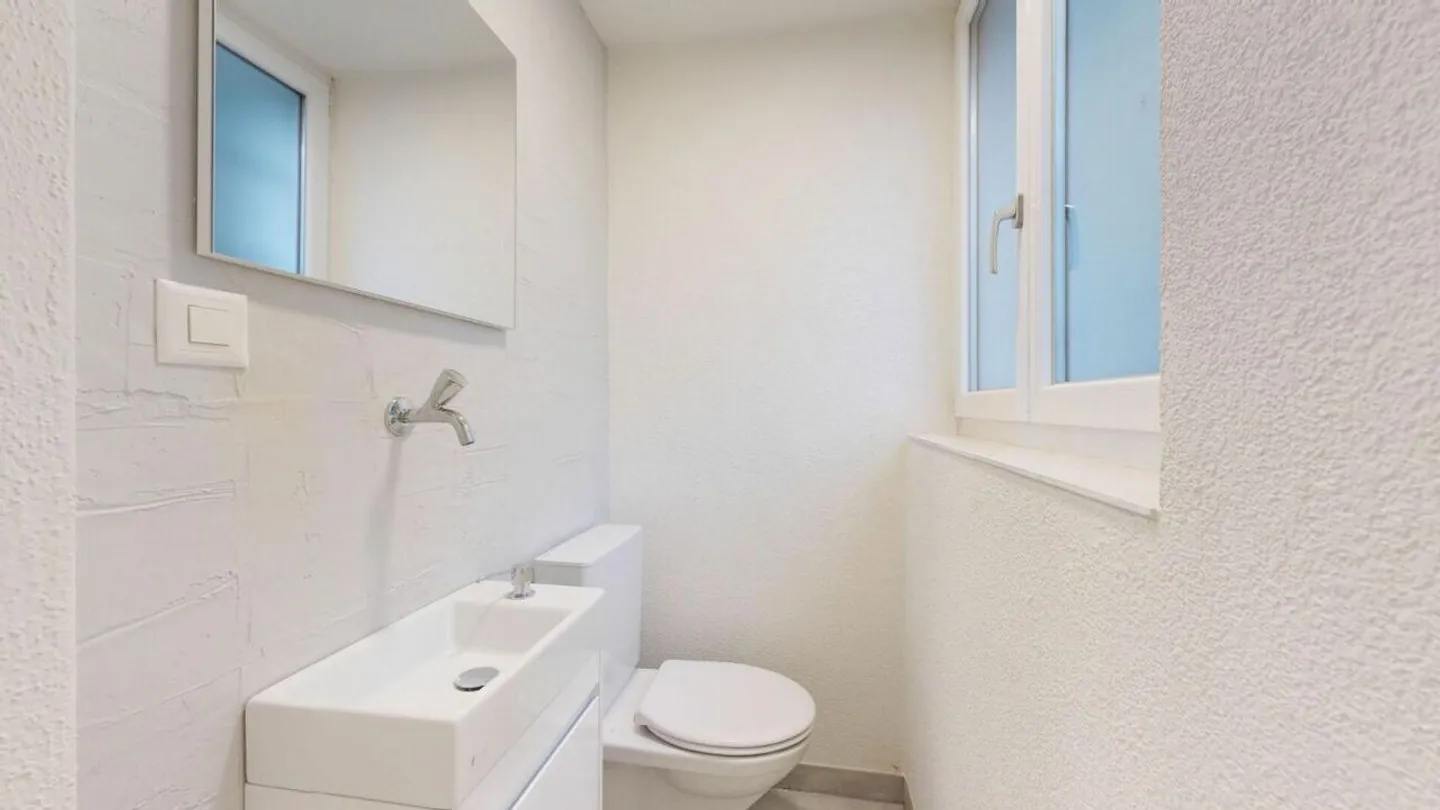 Grosszügige 1.5-Zimmer Loftwohnung mit Sitzplatz - frisch saniert auf 75 m² Wohnfläche - Foto 4 von 6