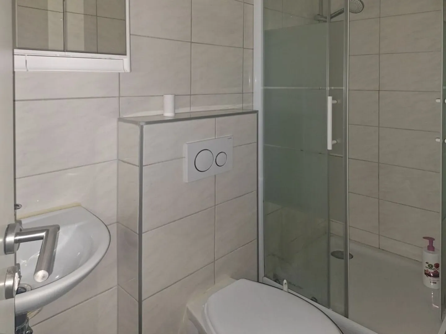 Raum mit WC und Küche zur Miete in St-Maurice - Foto 4 von 4