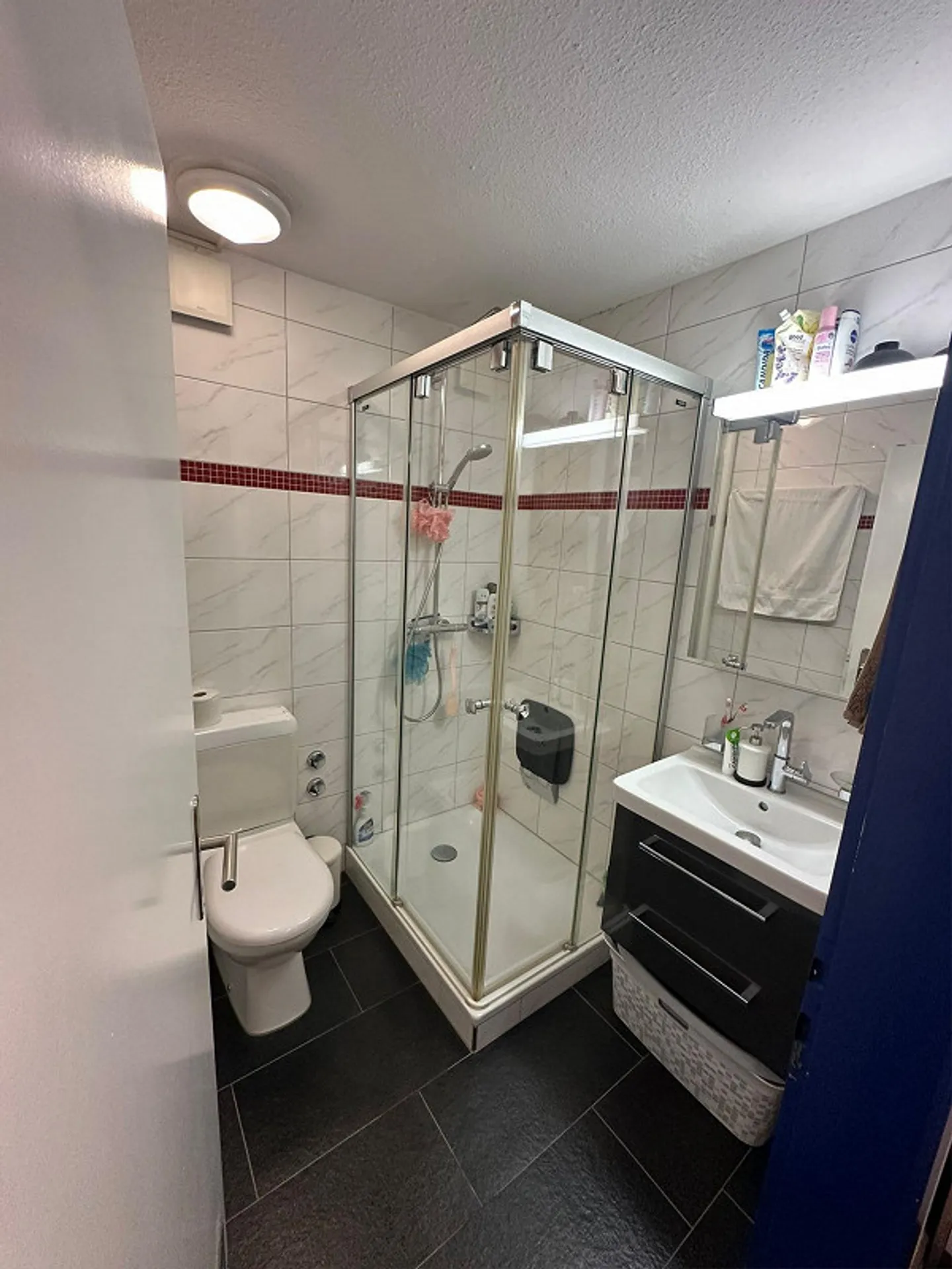 Appartamento 2.5 stanze al lago (50m) - Foto 7 di 16