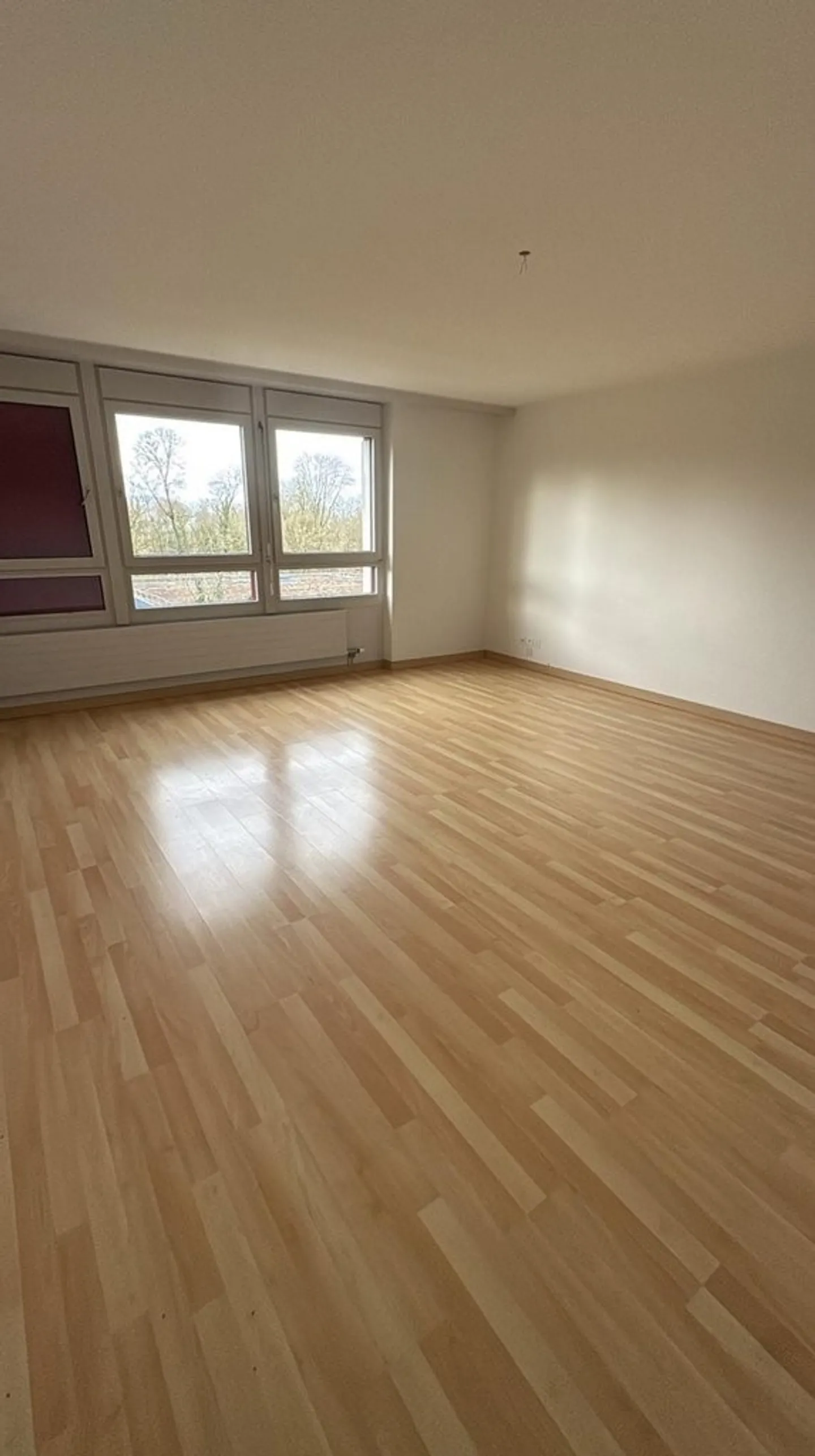 Charming 3.5-room apartment on the 17th floor - balcony with a wide view towards Basel - Photo 3 of 9