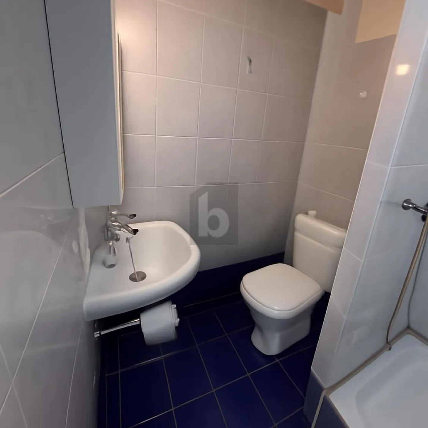 OFFICE WITH GARDEN - Photo 5 of 6