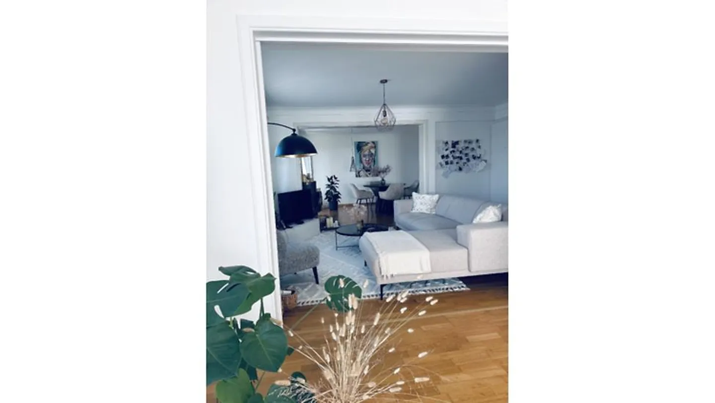 APPARTAMENTO 3½ STANZE A ZURIGO - DISTRETTO 10 HÖNGG, ARREDATO, TEMPORANEO - Foto 1 di 6