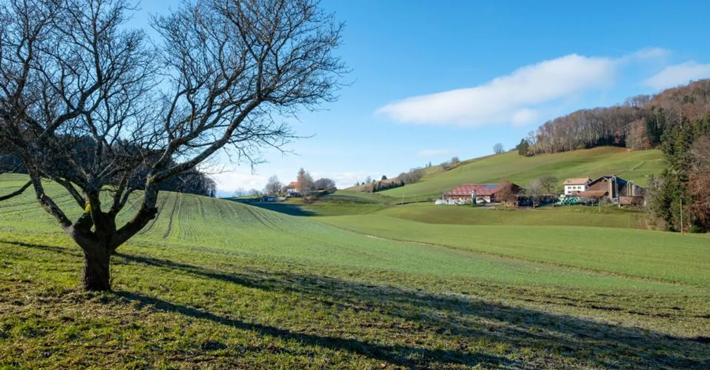 Fattoria ristrutturata: ambiente tranquillo circondato da campi - Foto 10 di 11