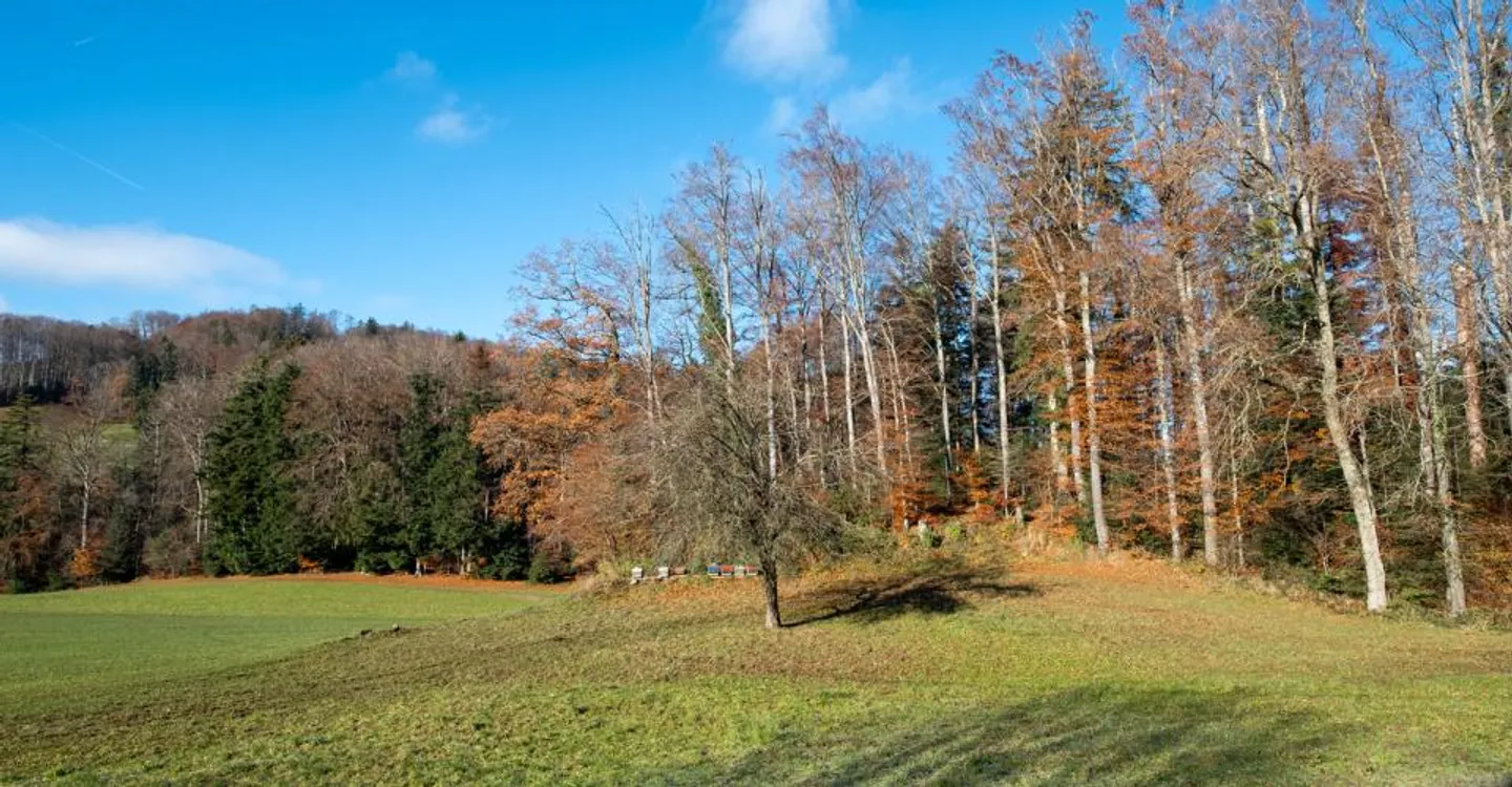 Fattoria ristrutturata: ambiente tranquillo circondato da campi - Foto 11 di 11