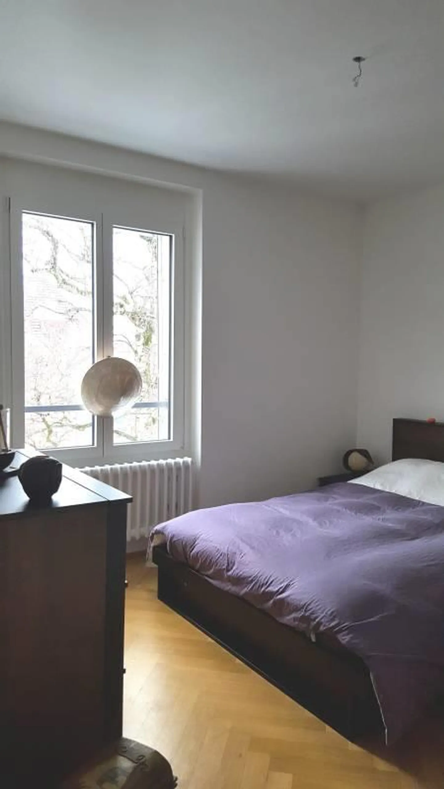 Charmante appartement 2 pièces - Photo 2 sur 6