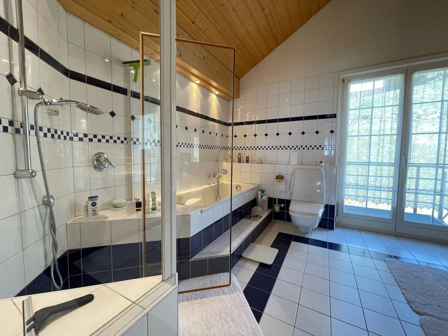 Vue panoramique sur le Säntis et les Churfirsten - Photo 13 sur 13