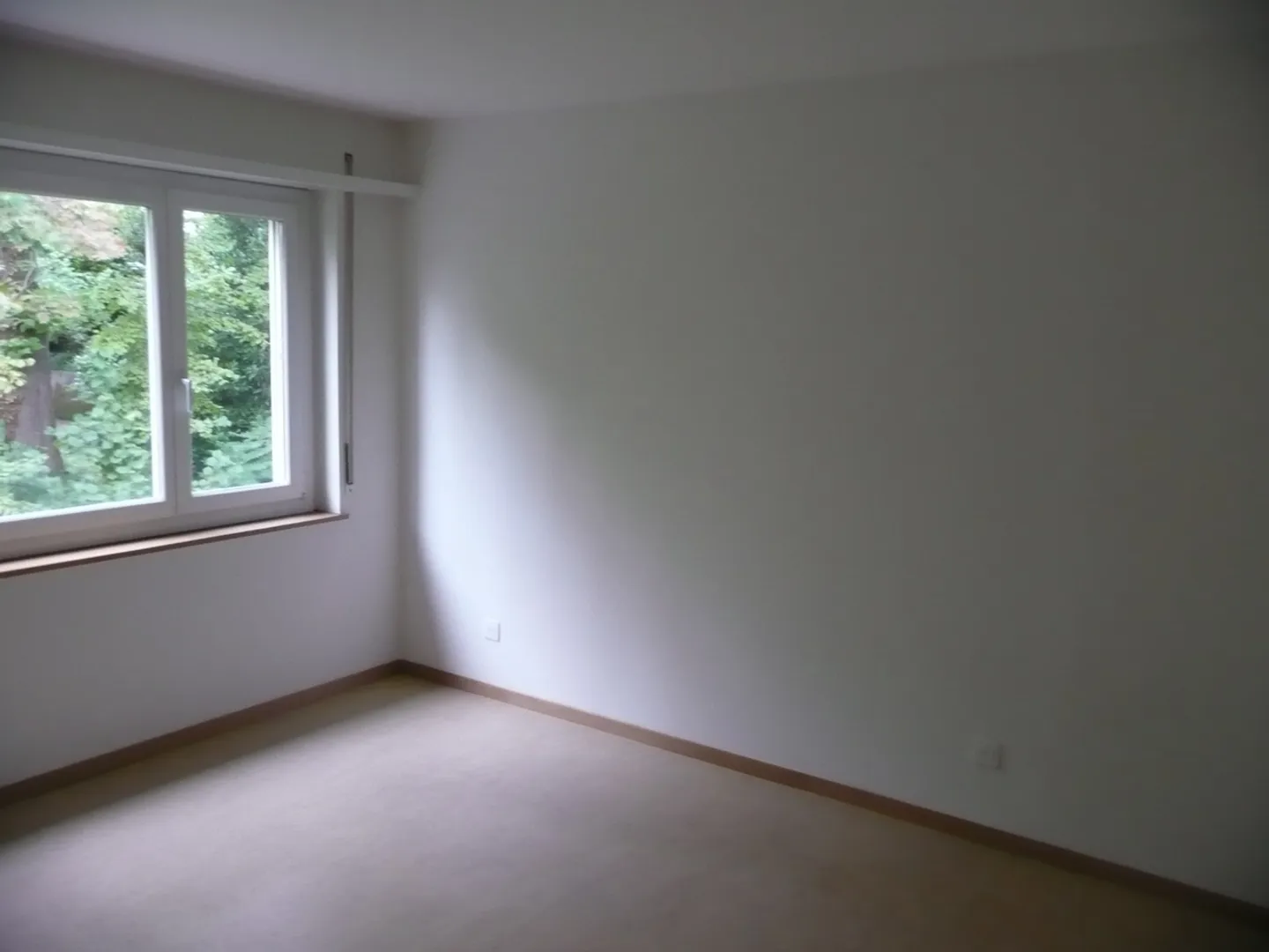 Cozy Apartment Near Limmat - Photo 6 of 8
