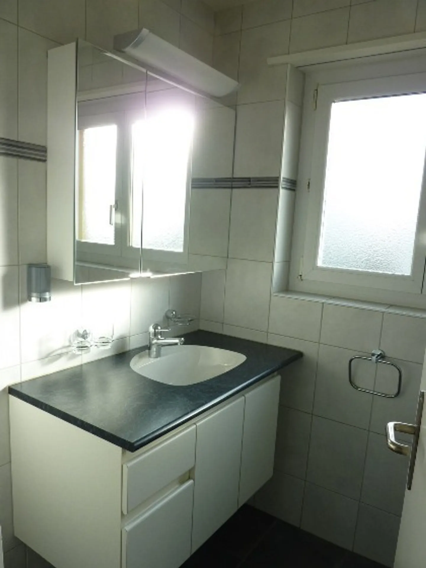 Cozy Apartment Near Limmat - Photo 7 of 8