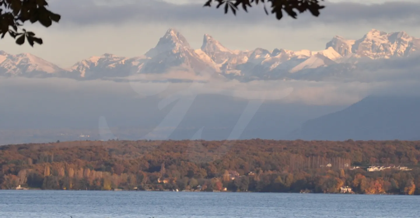 Master Property in COLOGNY (Off Market) - Photo 1 of 1
