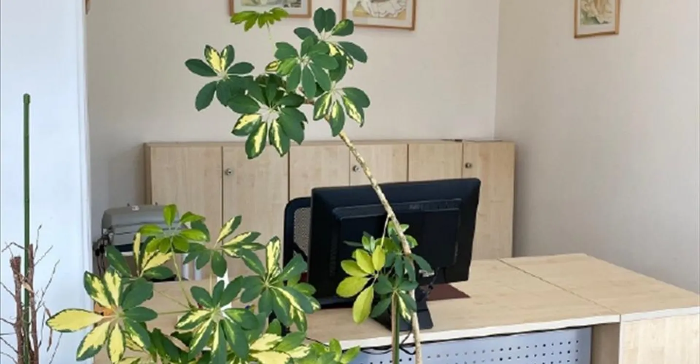 Bürofläche im Zentrum Spreitenbach - Foto 6 von 8