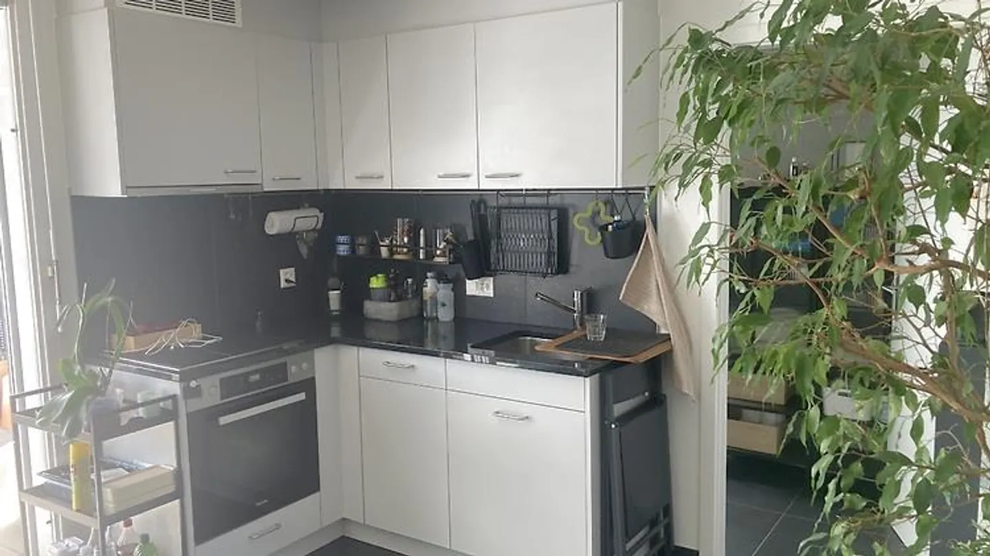 1½ ROOM APARTMENT IN AVENCHES (VD), FURNISHED, FIXED TERM - Photo 6 of 10