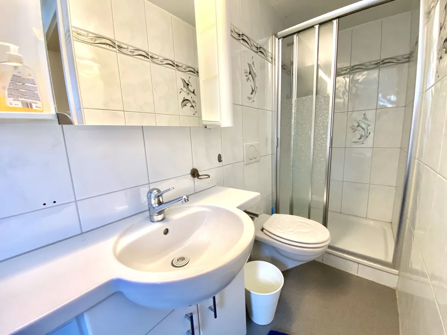 Casa unifamiliare di 5,5 stanze con molto spazio circostante - Foto 7 di 9