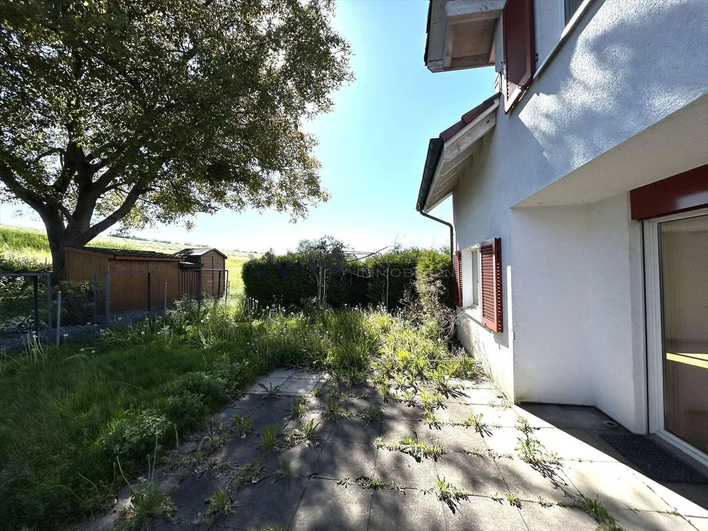 Casa singola in affitto - Foto 5 di 5