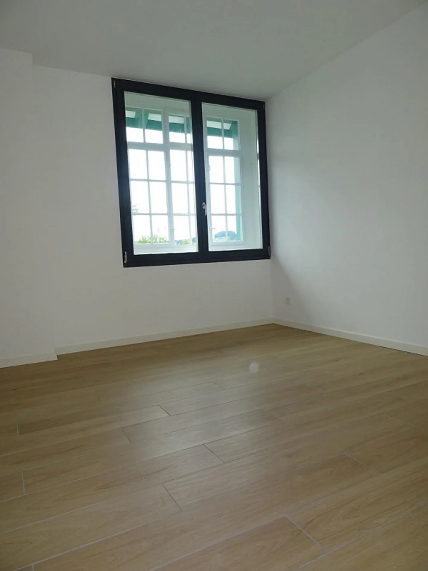 3.5 Room Apartment for Rent - Photo 4 of 10