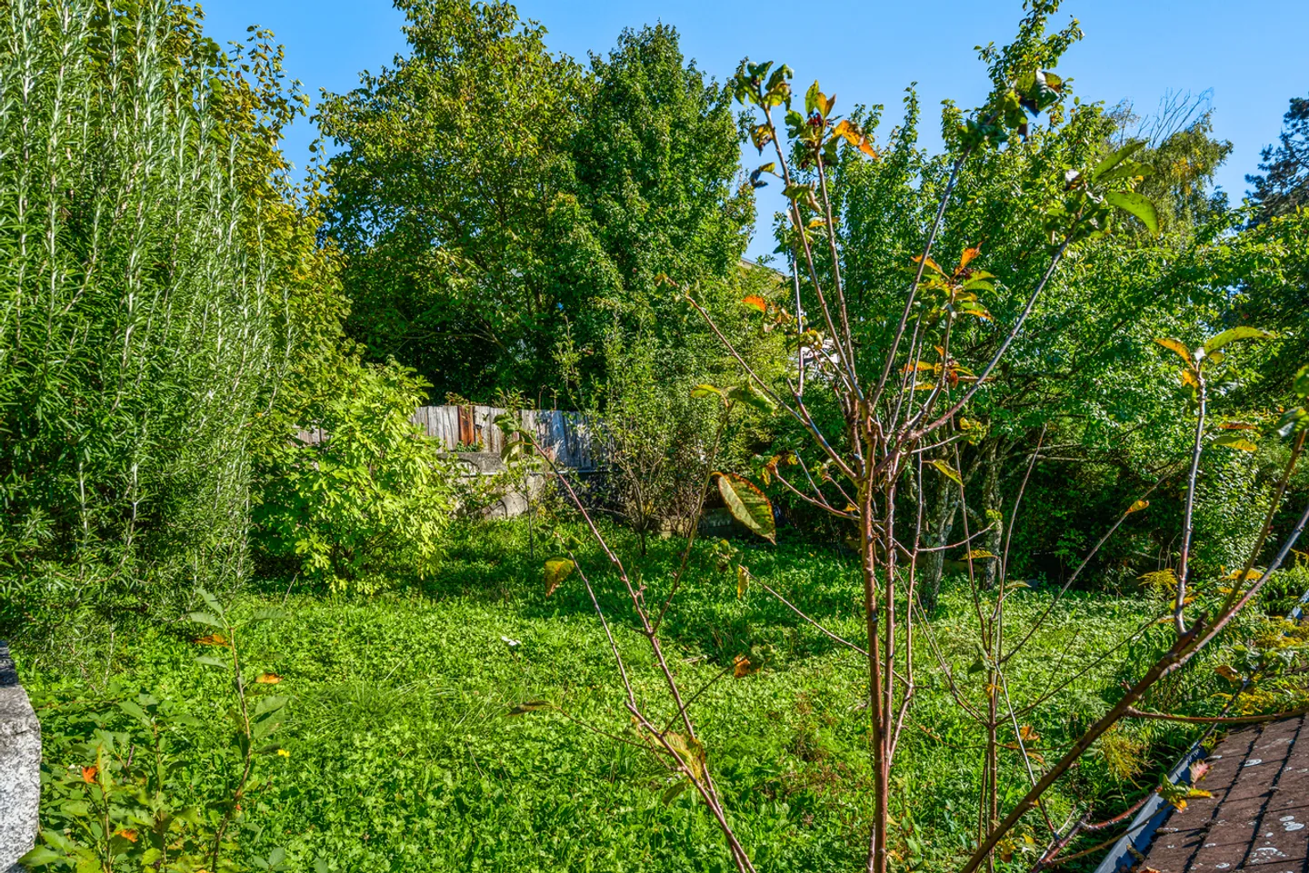Casa a schiera in vendita - Foto 6 di 11