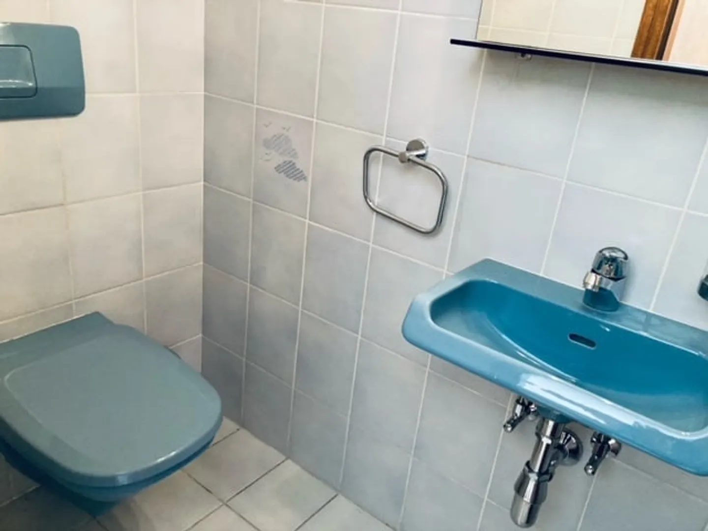 Bellinzona, spacious and central one-room apartment with garden - Photo 5 of 7