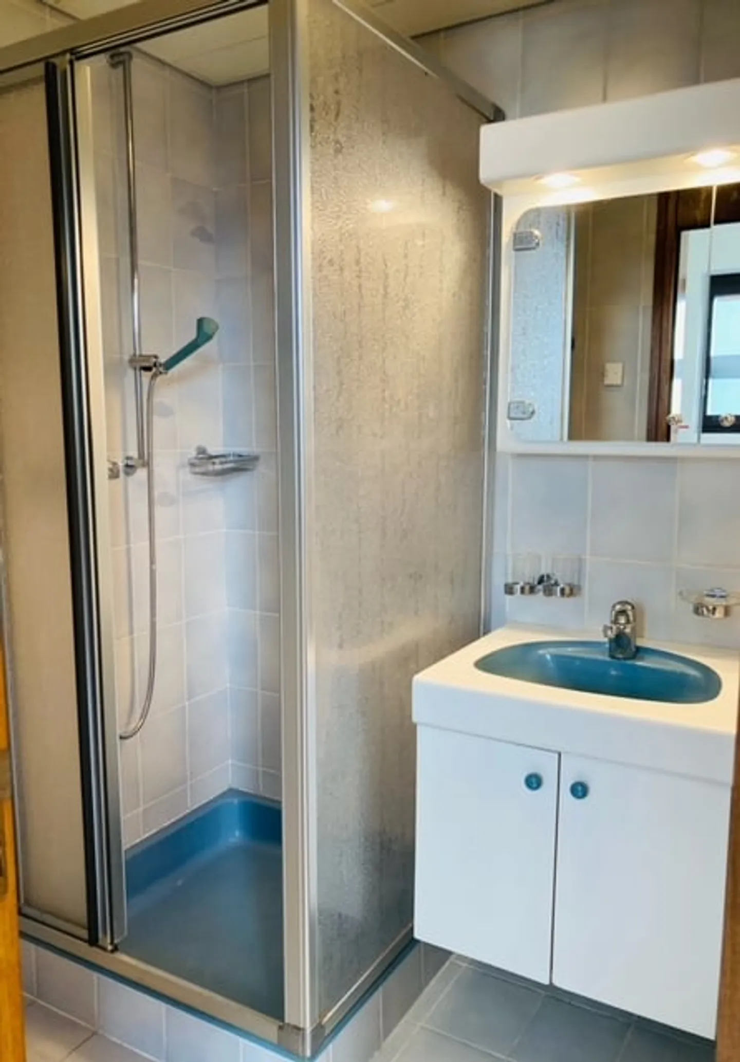 Bellinzona, spacious and central one-room apartment with garden - Photo 6 of 7