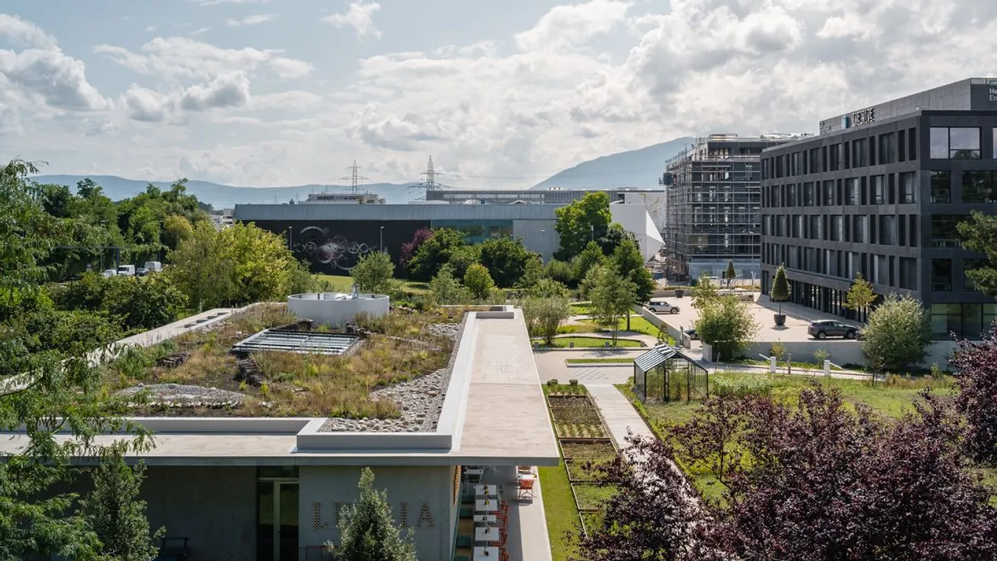 For rent, semi-industrial spaces in Meyrin at Campus The Hive. - Photo 1 of 6