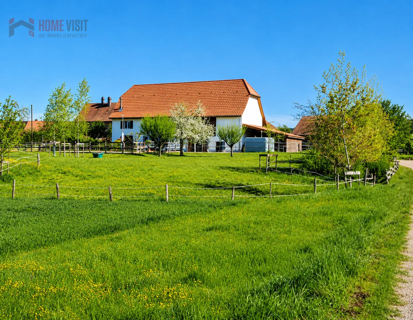 Dream property for horse lovers with private riding arena - Photo 3 of 13