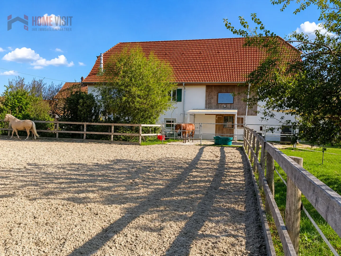 Dream property for horse lovers with private riding arena - Photo 4 of 13