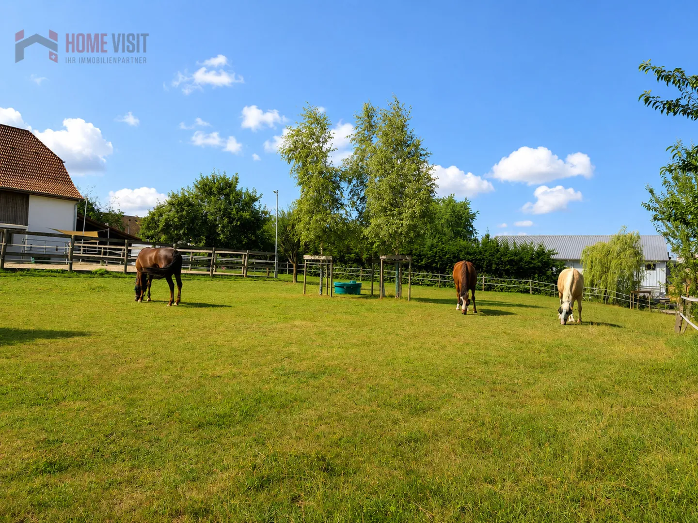Dream property for horse lovers with private riding arena - Photo 5 of 13