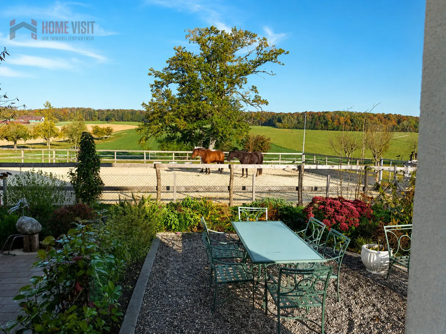 Dream property for horse lovers with private riding arena - Photo 9 of 13