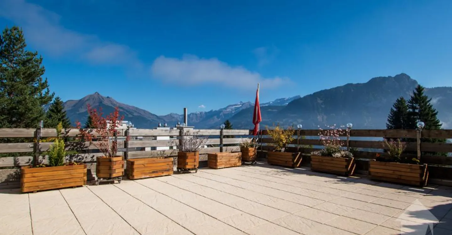 Charmante 2,5 Zimmer mit großer Terrasse - Foto 1 von 11