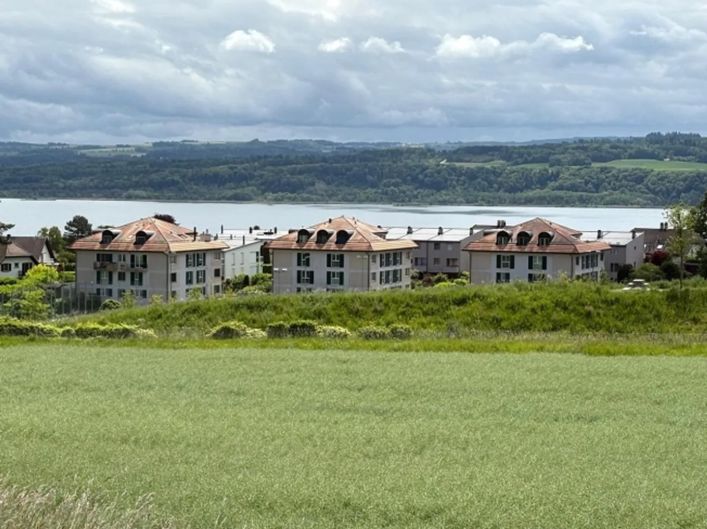 Sehr schöne helle 5,5-Zimmer-Wohnung in Grandson - Foto 1 von 19
