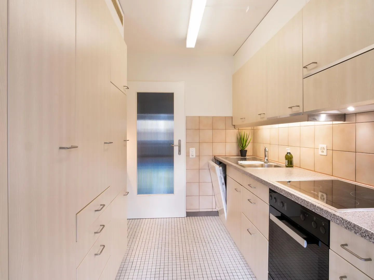 Appartamento 4,5 locali con piscina nel giardino - Foto 2 di 14
