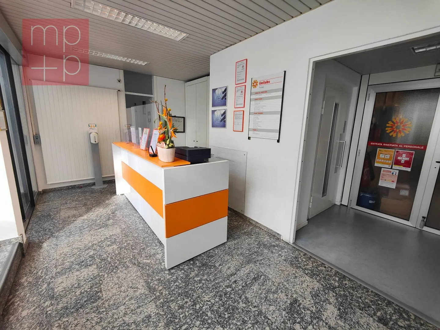 Handel - Breganzona - Foto 5 von 8