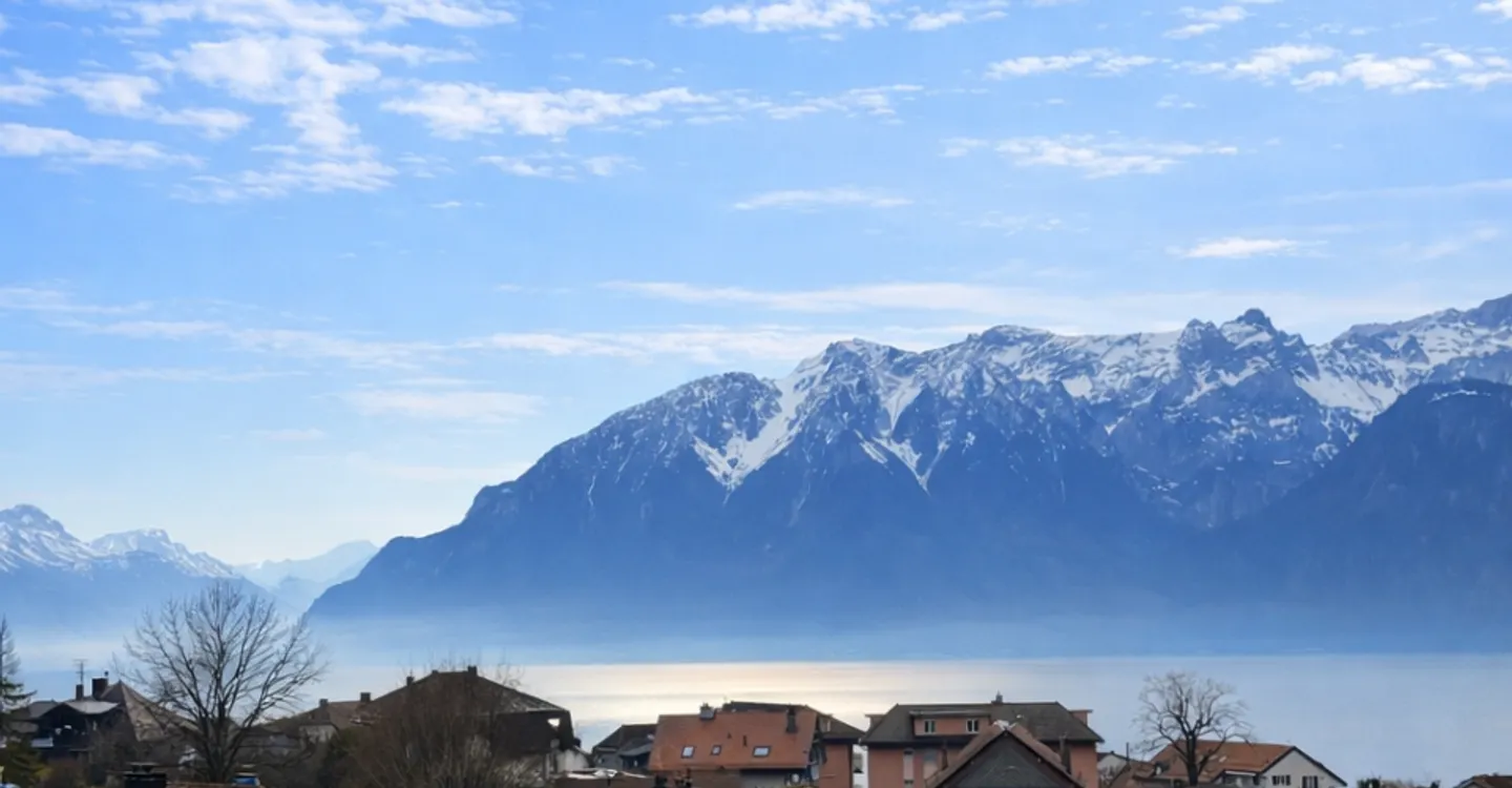 Attique d’exception avec espace polyvalent de 30 m² au cœur du Lavaux - Foto 8 von 14